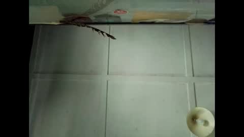 Warwick online show from October 4, 2025, 12:41 am