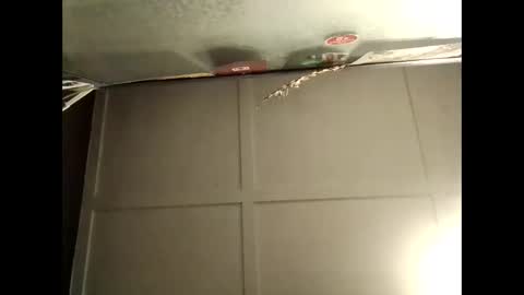 Warwick online show from October 10, 2025, 8:46 am