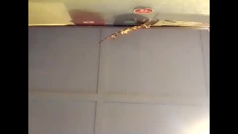 Warwick online show from October 16, 2025, 7:09 am