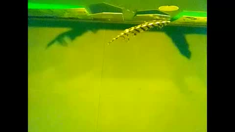 Warwick online show from October 22, 2025, 10:04 am