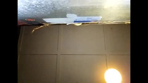 Warwick online show from November 29, 2025, 9:23 am