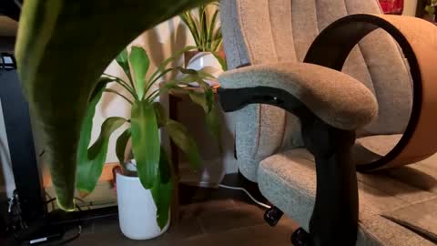 Snapshot of fuklicious chatting on January 19, 2025, 3:39 am fuklicious online show from January 19, 2025, 3:39 am