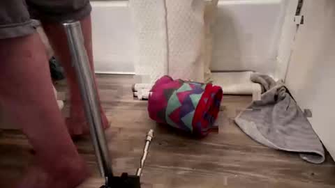 Snapshot of fukmyass247 chatting on October 8, 2025, 12:14 pm fukmyass247 online show from October 8, 2025, 12:14 pm