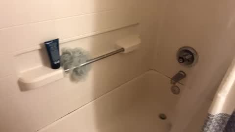 Curious guy showing off online show from November 2, 2025, 1:08 am