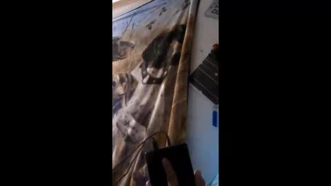 funinbed607918 online show from April 25, 2026, 2:36 am