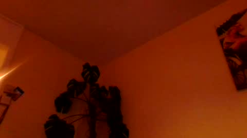 Snapshot of funn333222 chatting on June 17, 2026, 3:42 am funn333222 online show from June 17, 2026, 3:42 am