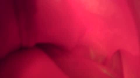 funtimes01234 online show from November 10, 2025, 7:24 pm