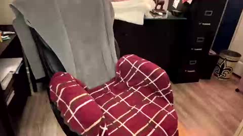 Snapshot of furryhugs69 chatting on February 21, 2025, 2:16 pm Erich online show from February 21, 2025, 2:16 pm