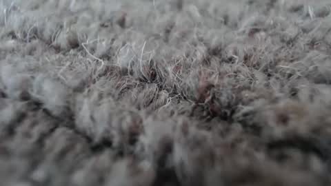 Snapshot of fuzzzman chatting on January 19, 2026, 5:11 am Mark online show from January 19, 2026, 5:11 am