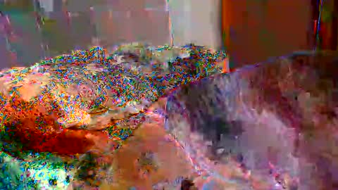 gaby  layla online show from November 17, 2025, 10:04 pm