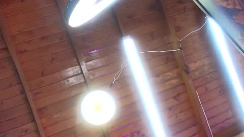 gabriela online show from October 1, 2025, 7:09 pm