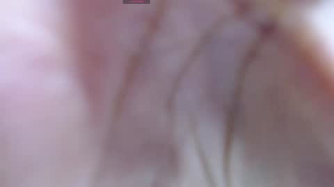 .  online show from December 12, 2024, 5:31 am