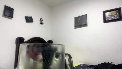 Snapshot of gadiel_sex chatting on October 31, 2025, 11:39 pm gadiel_sex online show from October 31, 2025, 11:39 pm