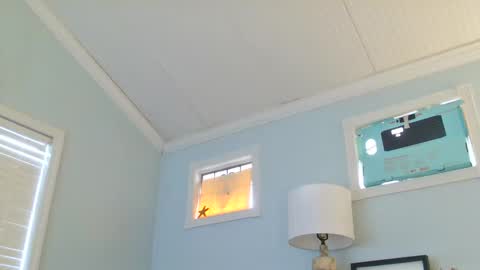 Snapshot of gaotter chatting on January 30, 2025, 9:47 pm GAotter online show from January 30, 2025, 9:47 pm