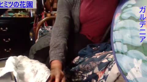 Gardenia online show from December 2, 2024, 8:41 am