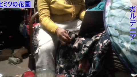 Gardenia online show from December 9, 2024, 8:33 am