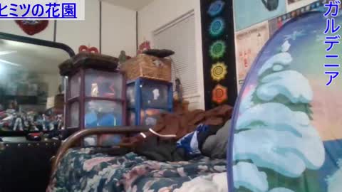 Gardenia online show from January 29, 2025, 8:51 am