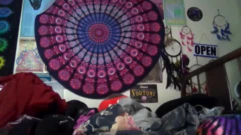 Gardenia online show from February 24, 2026, 8:56 am