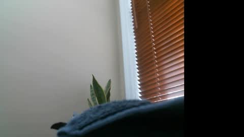 Lisa online show from December 27, 2024, 7:14 pm