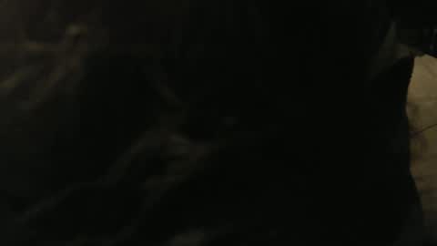 Gary online show from January 9, 2025, 12:46 am