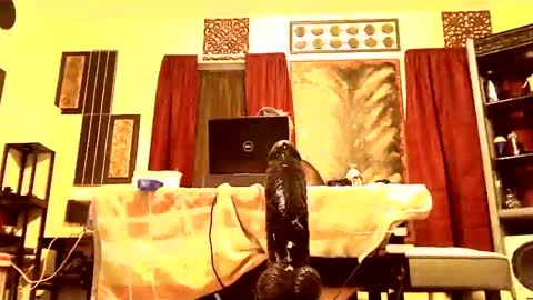 gatewaylaptop2019 online show from March 9, 2025, 7:56 am