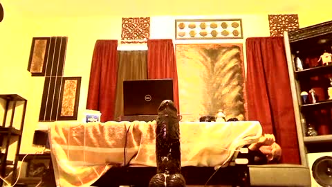 gatewaylaptop2019 online show from March 9, 2025, 2:10 pm