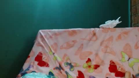 estrella online show from November 10, 2025, 9:52 am