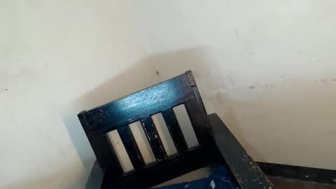 gelo online show from April 3, 2026, 12:36 pm