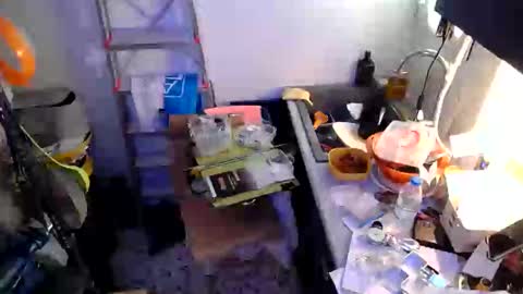 georgempt online show from January 18, 2025, 9:24 am