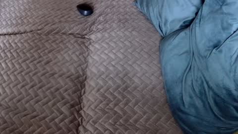 Snapshot of georgiapeachgirl chatting on November 30, 2025, 10:19 am Melissa online show from November 30, 2025, 10:19 am