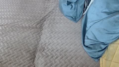 Snapshot of georgiapeachgirl chatting on February 17, 2026, 11:29 am Melissa online show from February 17, 2026, 11:29 am