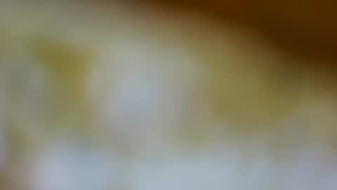 germanandy71 online show from November 26, 2025, 9:10 am