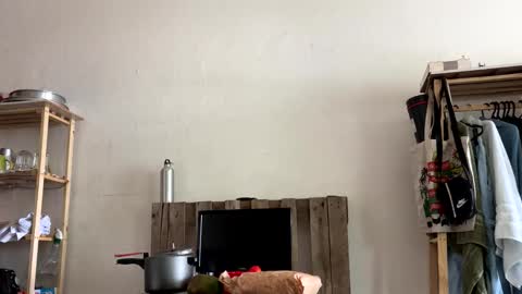 Snapshot of gerson229 chatting on January 6, 2026, 4:11 pm gerson229 online show from January 6, 2026, 4:11 pm