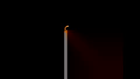 Snapshot of gerson229 chatting on January 14, 2026, 12:11 pm gerson229 online show from January 14, 2026, 12:11 pm