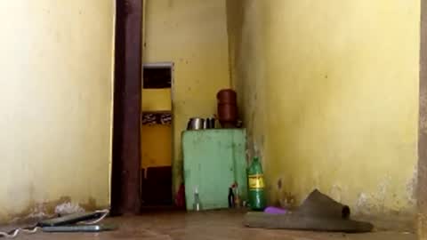 Gaby online show from January 15, 2026, 6:00 pm