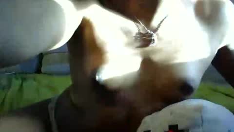 Snapshot of ghastgirlt_t chatting on October 13, 2025, 10:10 pm ghastgirlt_t online show from October 13, 2025, 10:10 pm