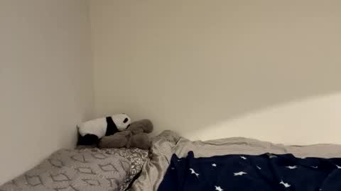 ghostpetal online show from December 18, 2025, 12:17 am