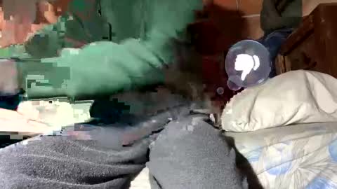 Corrado online show from January 12, 2025, 2:30 pm