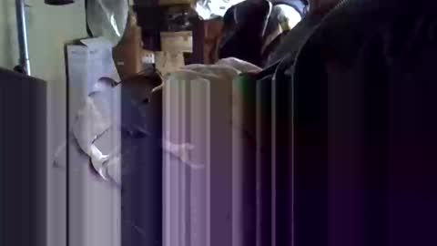 Corrado online show from January 19, 2026, 10:19 am