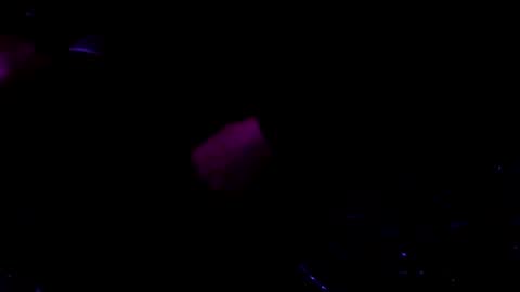 giftedbiker online show from January 9, 2025, 6:17 am