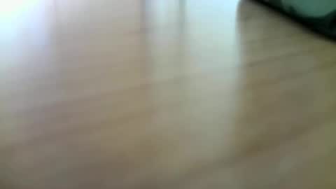 Snapshot of giovet chatting on December 29, 2024, 10:56 am giovet online show from December 29, 2024, 10:56 am