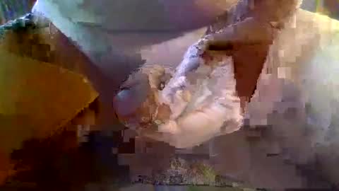 girafsnoop online show from January 19, 2025, 9:22 am