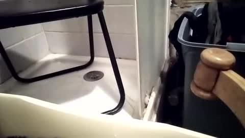 lovegirlscallme online show from December 1, 2025, 7:30 pm