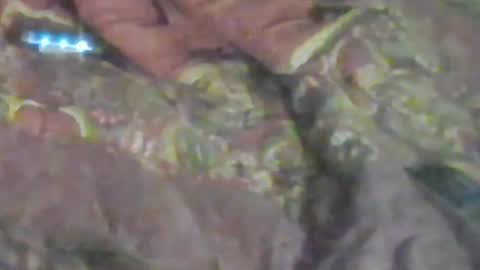 Snapshot of girlscallme666 chatting on January 17, 2026, 8:52 am lovegirlscallme online show from January 17, 2026, 8:52 am