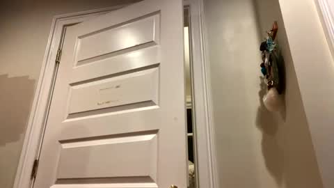 Snapshot of glegere18 chatting on October 24, 2025, 3:14 am Lets get wierd online show from October 24, 2025, 3:14 am