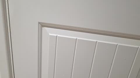 Gloscam online show from November 23, 2025, 11:15 pm