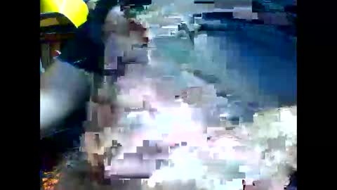 PencilDick online show from November 21, 2025, 9:08 am