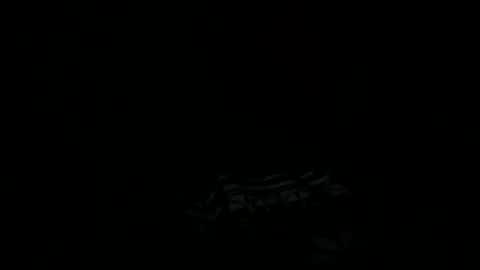 goatchocolate online show from December 22, 2024, 5:45 am