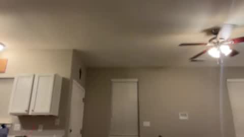 Snapshot of goddess_milaa chatting on January 6, 2025, 10:24 am Princess Miila BBC Daddy online show from January 6, 2025, 10:24 am