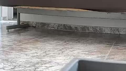 goddesshannahfeet_ online show from April 7, 2026, 4:40 pm